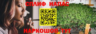гидра Краснодар