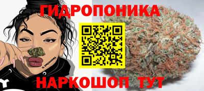 прущие грибы Краснокаменск