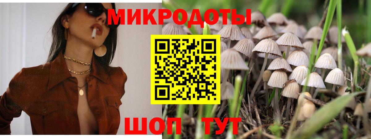 Псилоцибиновые грибы мицелий Каспийск
